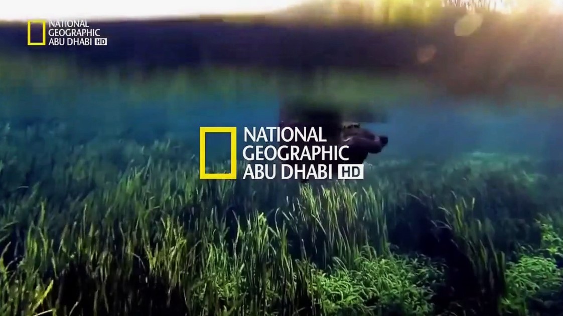 استكشف الطبيعة .. تردد قناة ناشيونال جوغرافيك 2025 National Geographic على نايل سات وعرب سات