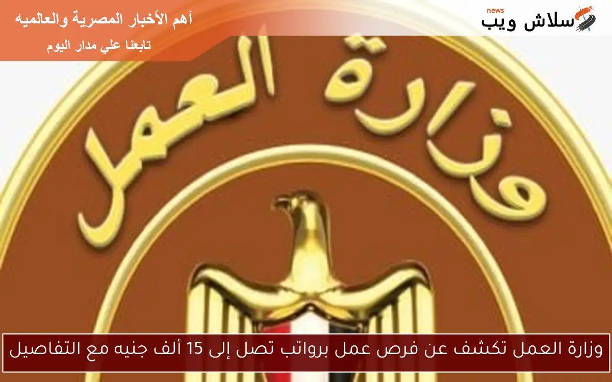 وزارة العمل تكشف عن فرص عمل برواتب تصل إلى 15 ألف جنيه مع التفاصيل