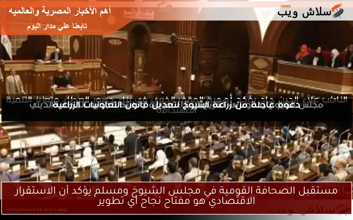 مستقبل الصحافة القومية في مجلس الشيوخ ومسلم يؤكد أن الاستقرار الاقتصادي هو مفتاح نجاح أي تطوير