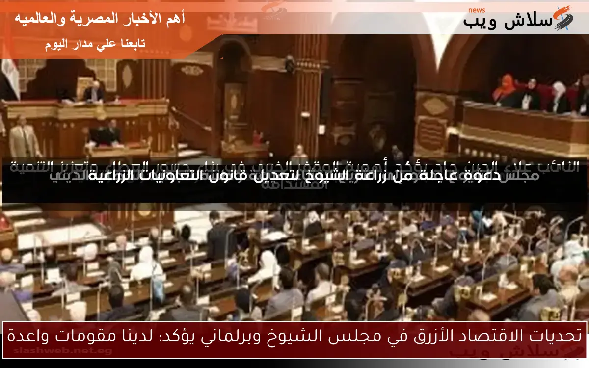 تحديات الاقتصاد الأزرق في مجلس الشيوخ وبرلماني يؤكد: لدينا مقومات واعدة