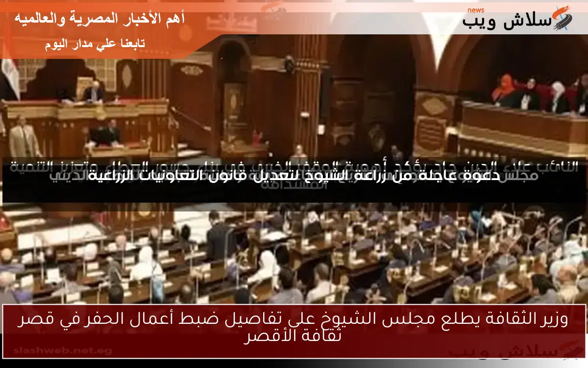 وزير الثقافة يطلع مجلس الشيوخ على تفاصيل ضبط أعمال الحفر في قصر ثقافة الأقصر