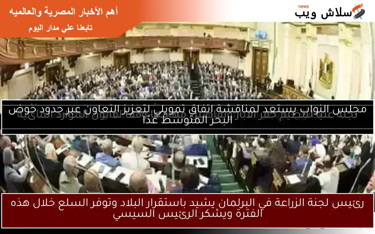 رئيس لجنة الزراعة في البرلمان يشيد باستقرار البلاد وتوفر السلع خلال هذه الفترة ويشكر الرئيس السيسي