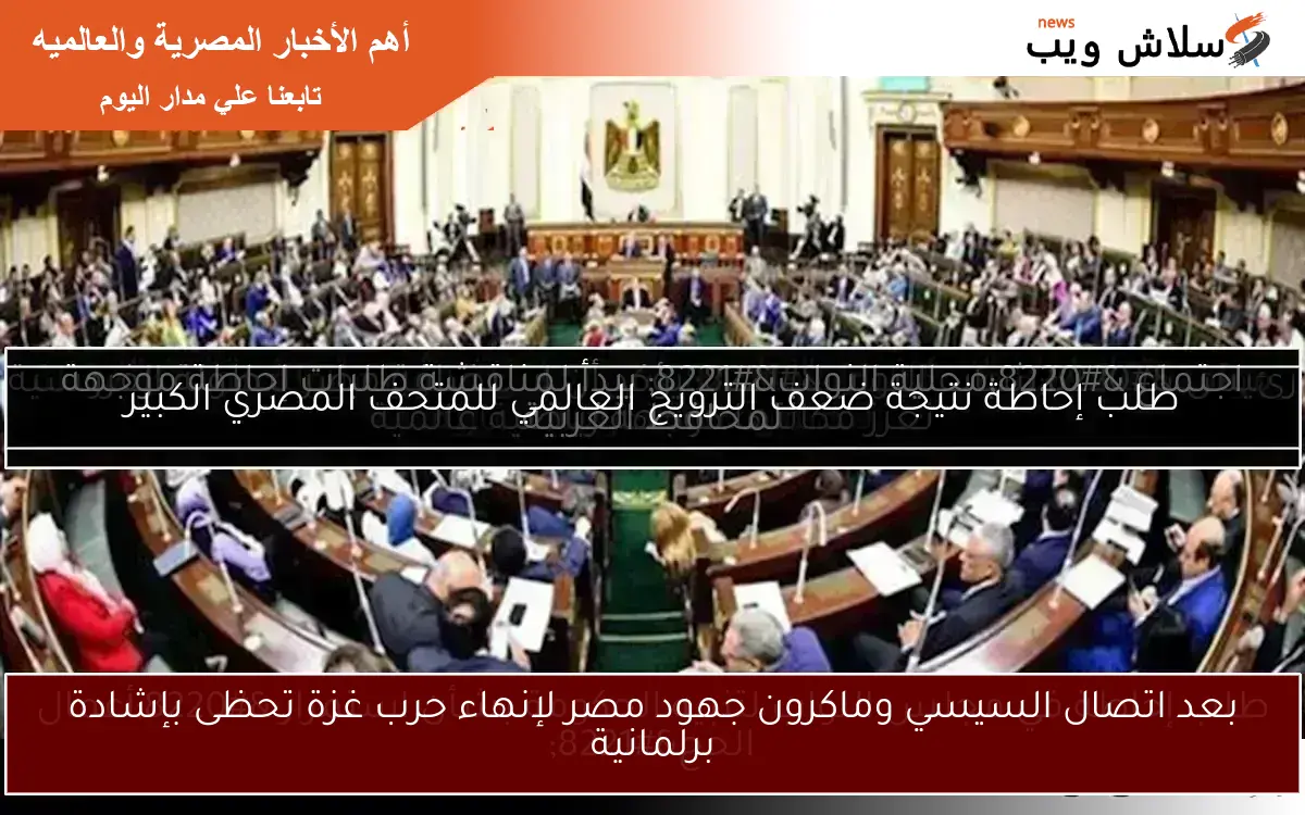 بعد اتصال السيسي وماكرون جهود مصر لإنهاء حرب غزة تحظى بإشادة برلمانية