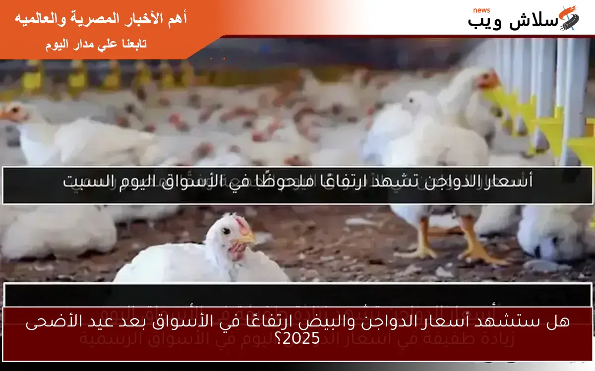 هل ستشهد أسعار الدواجن والبيض ارتفاعًا في الأسواق بعد عيد الأضحى 2025؟