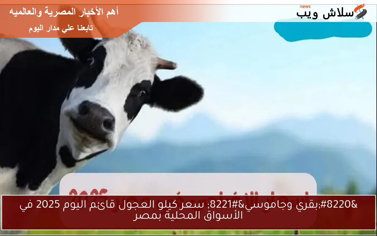 “بقري وجاموسي” سعر كيلو العجول قائم اليوم 2025 في الأسواق المحلية بمصر