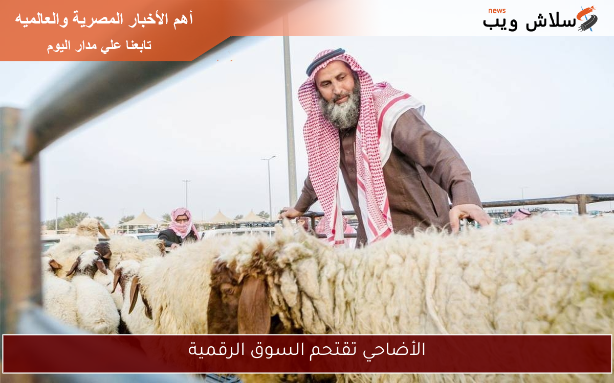 الأضاحي تقتحم السوق الرقمية