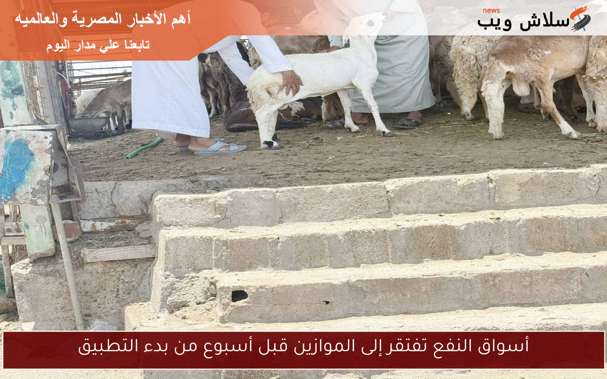 أسواق النفع تفتقر إلى الموازين قبل أسبوع من بدء التطبيق