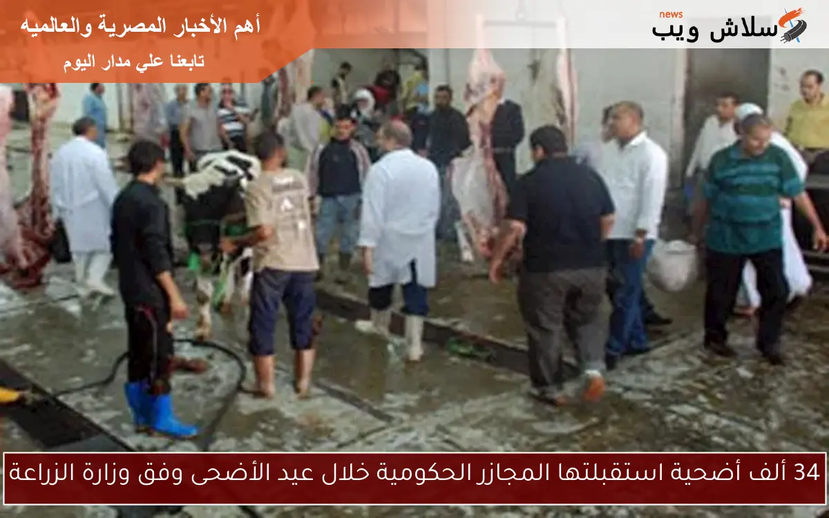 34 ألف أضحية استقبلتها المجازر الحكومية خلال عيد الأضحى وفق وزارة الزراعة