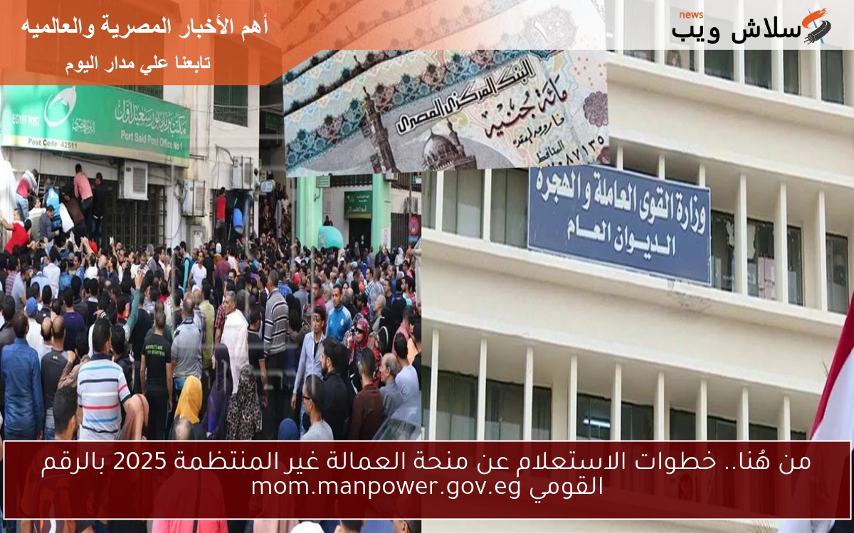 من هُنا.. خطوات الاستعلام عن منحة العمالة غير المنتظمة 2025 بالرقم القومي mom.manpower.gov.eg