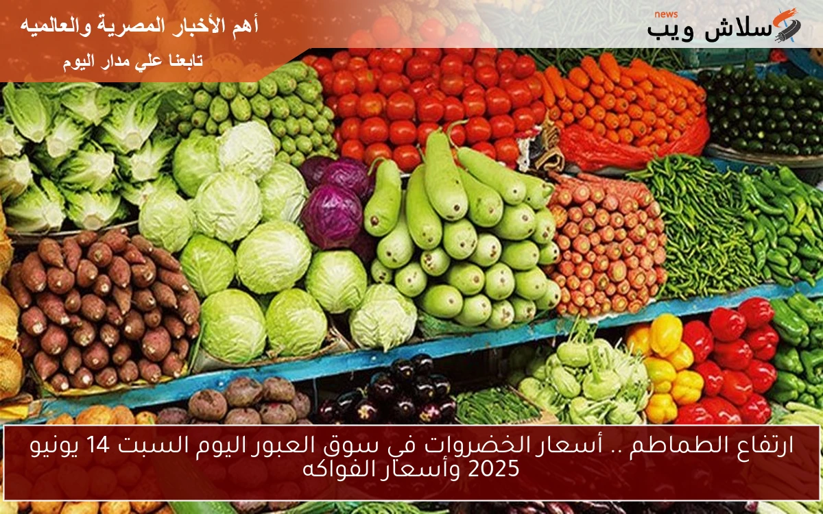 ارتفاع الطماطم .. أسعار الخضروات في سوق العبور اليوم السبت 14 يونيو 2025 وأسعار الفواكه