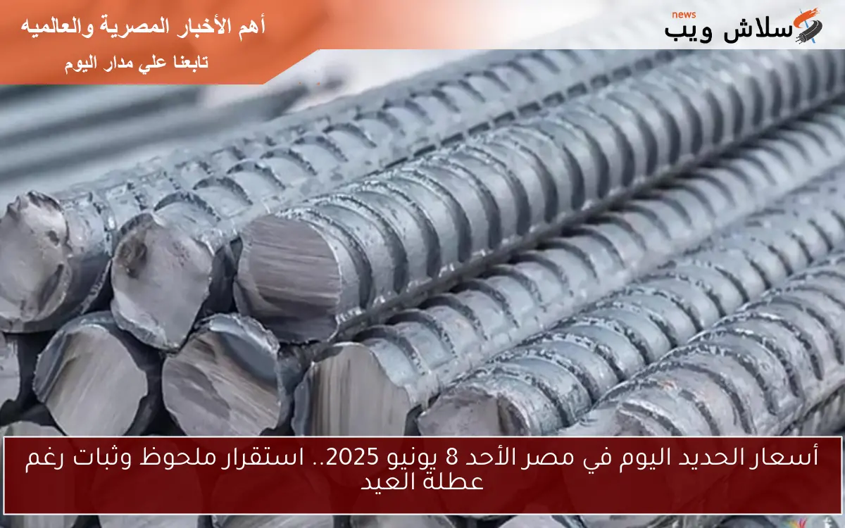 أسعار الحديد اليوم في مصر الأحد 8 يونيو 2025.. استقرار ملحوظ وثبات رغم عطلة العيد