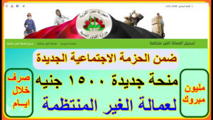 شروط الحصول علي منحة العمالة الغير منتظمة 2025