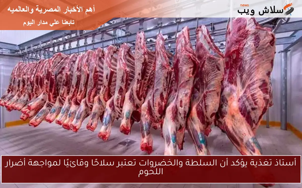 أستاذ تغذية يؤكد أن السلطة والخضروات تعتبر سلاحًا وقائيًا لمواجهة أضرار اللحوم