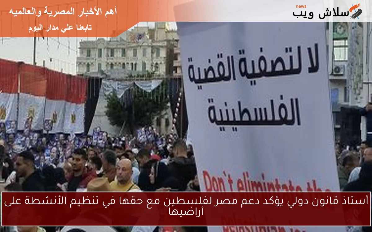 أستاذ قانون دولي يؤكد دعم مصر لفلسطين مع حقها في تنظيم الأنشطة على أراضيها