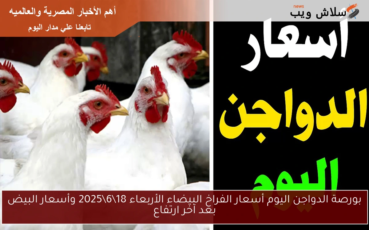 بورصة الدواجن اليوم أسعار الفراخ البيضاء الأربعاء 18\6\2025 وأسعار البيض بعد آخر ارتفاع