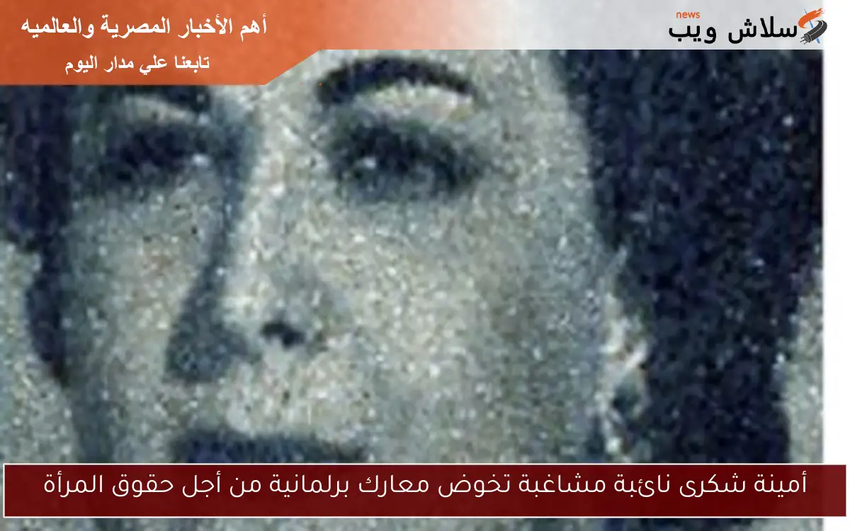 أمينة شكرى نائبة مشاغبة تخوض معارك برلمانية من أجل حقوق المرأة