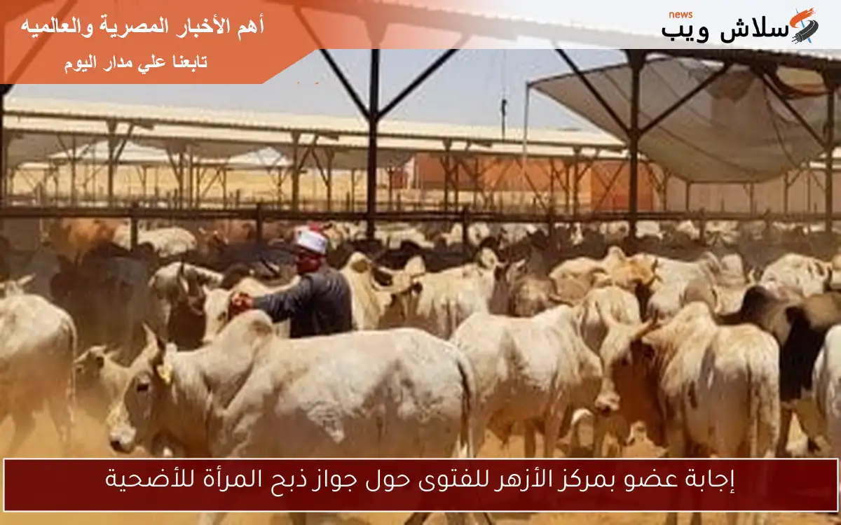 إجابة عضو بمركز الأزهر للفتوى حول جواز ذبح المرأة للأضحية