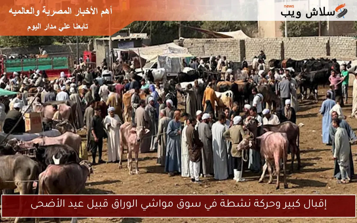 إقبال كبير وحركة نشطة في سوق مواشي الوراق قبيل عيد الأضحى