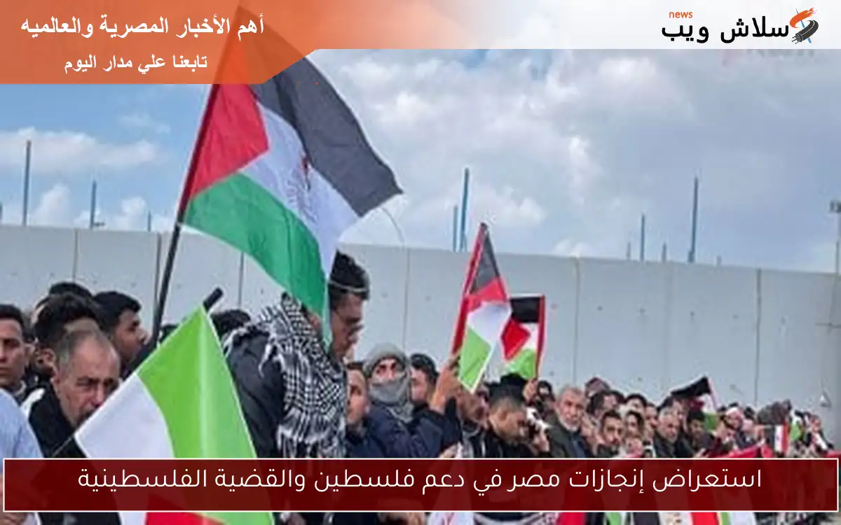 استعراض إنجازات مصر في دعم فلسطين والقضية الفلسطينية
