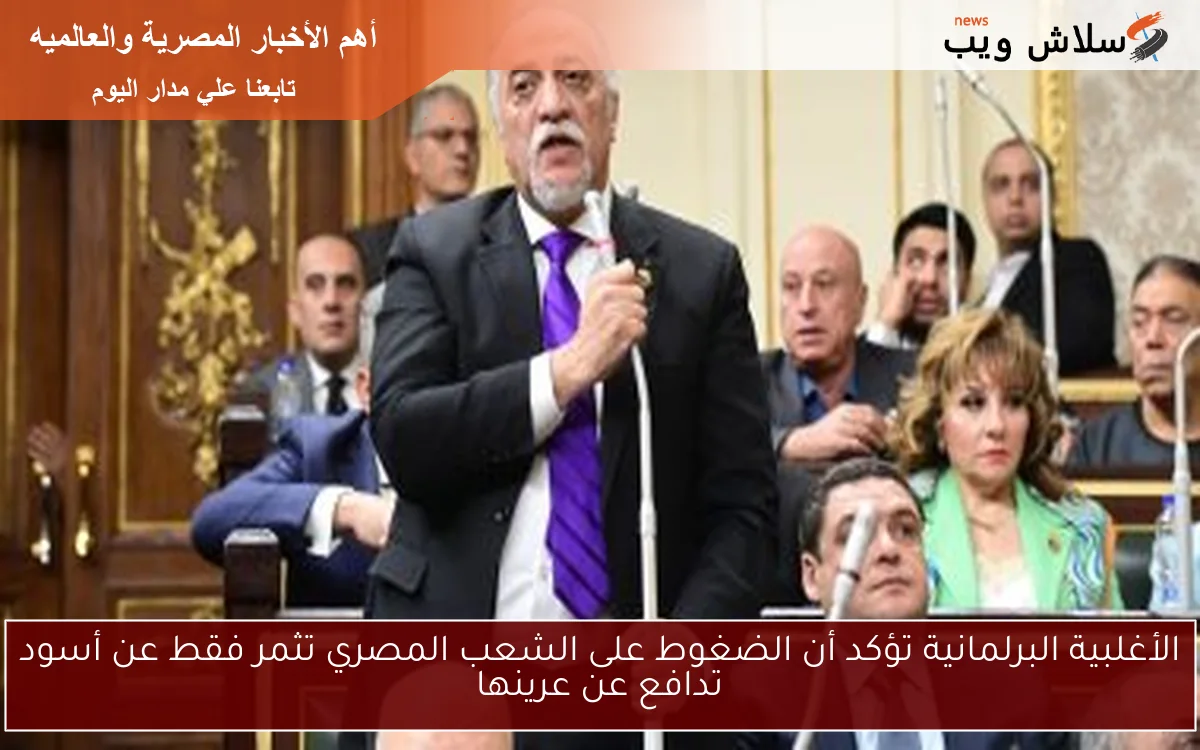 الأغلبية البرلمانية تؤكد أن الضغوط على الشعب المصري تثمر فقط عن أسود تدافع عن عرينها