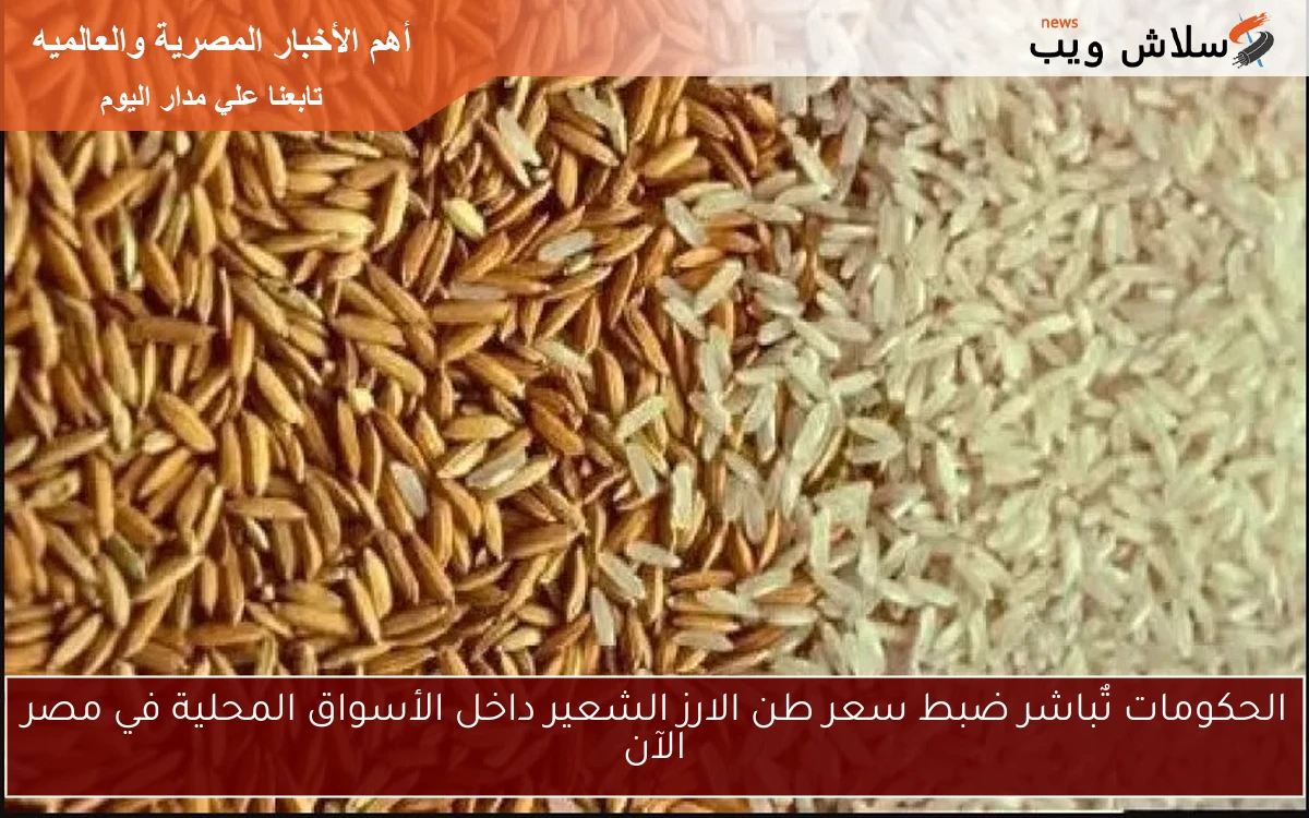 الحكومات تٌباشر ضبط سعر طن الارز الشعير داخل الأسواق المحلية في مصر الآن