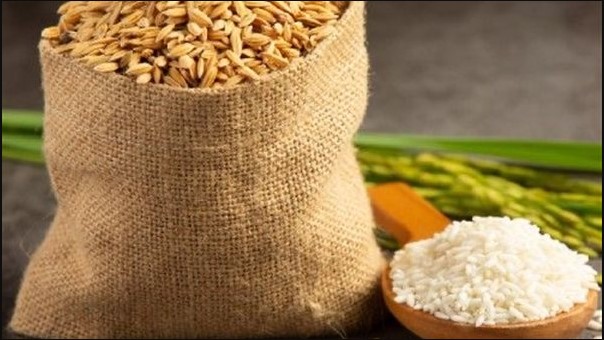 طن الرز عامل قلق .. أسعار أرز الشعير عريض ورفيع الحبة في الأسواق المصرية
