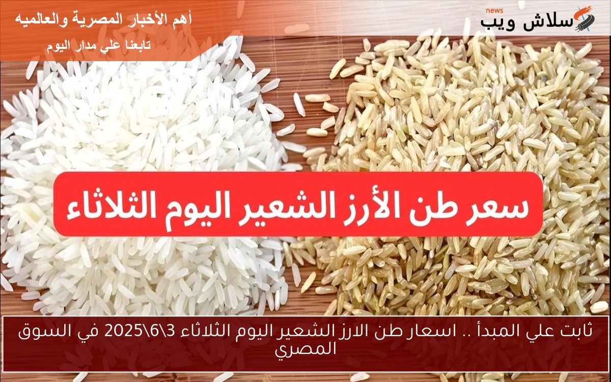 ثابت علي المبدأ .. اسعار طن الارز الشعير اليوم الثلاثاء 3\6\2025 في السوق المصري
