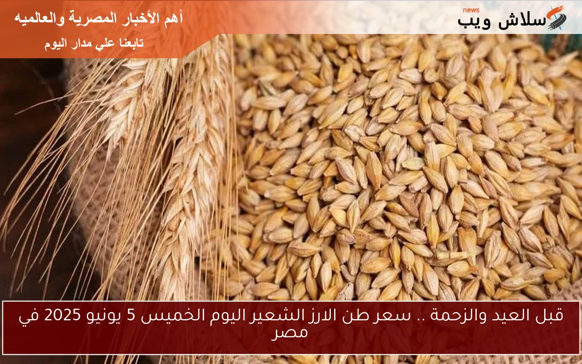قبل العيد والزحمة .. سعر طن الارز الشعير اليوم الخميس 5 يونيو 2025 في مصر