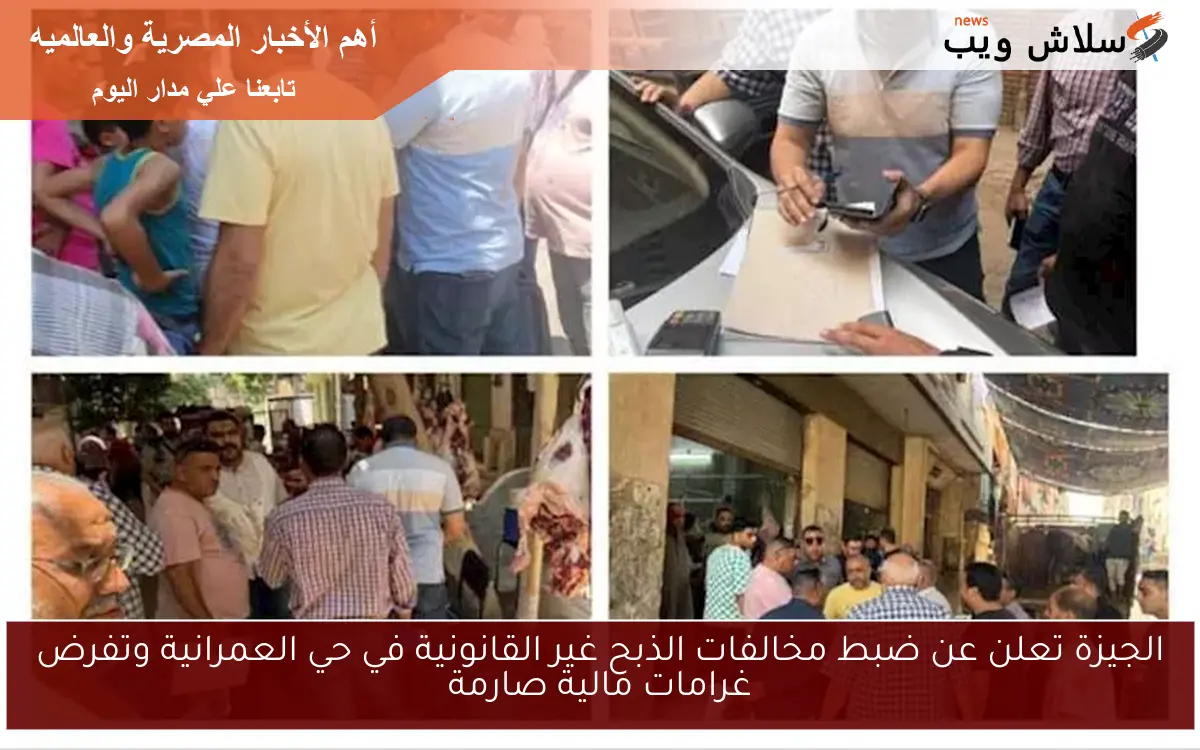 الجيزة تعلن عن ضبط مخالفات الذبح غير القانونية في حي العمرانية وتفرض غرامات مالية صارمة