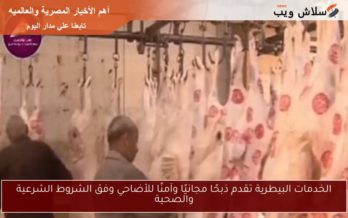 الخدمات البيطرية تقدم ذبحًا مجانيًا وآمنًا للأضاحي وفق الشروط الشرعية والصحية