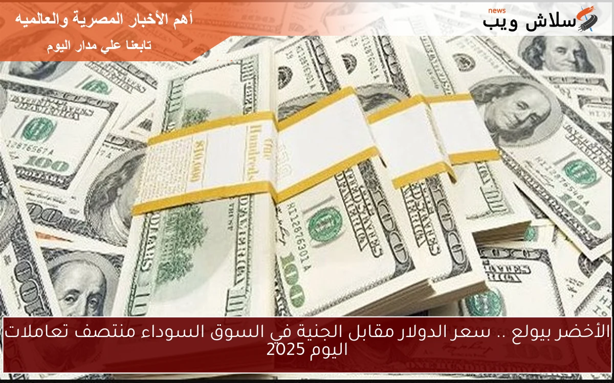 الأخضر بيولع .. سعر الدولار مقابل الجنية في السوق السوداء منتصف تعاملات اليوم 2025