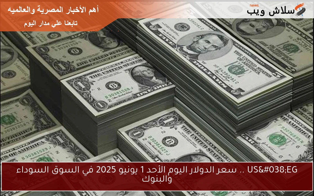 US&EG .. سعر الدولار اليوم الأحد 1 يونيو 2025 في السوق السوداء والبنوك