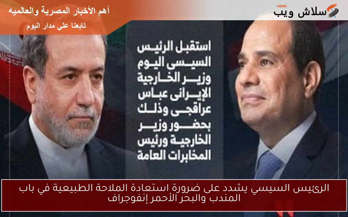 الرئيس السيسي يشدد على ضرورة استعادة الملاحة الطبيعية في باب المندب والبحر الأحمر إنفوجراف