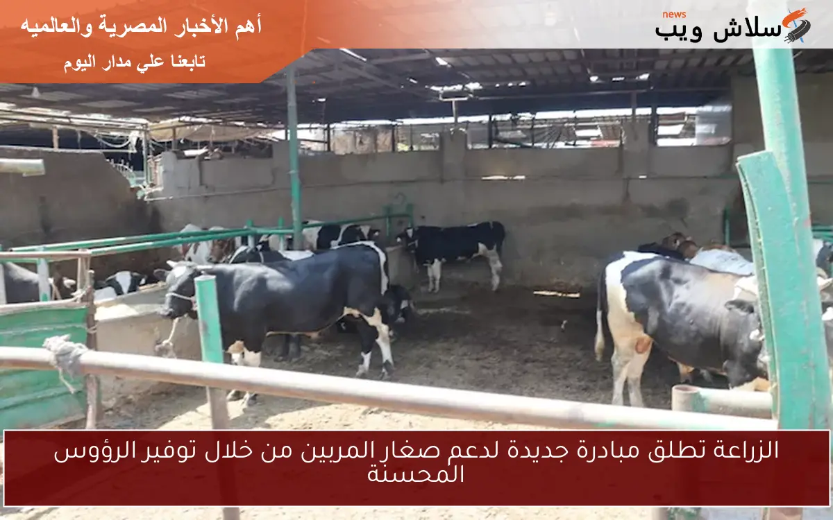 الزراعة تطلق مبادرة جديدة لدعم صغار المربين من خلال توفير الرؤوس المحسنة