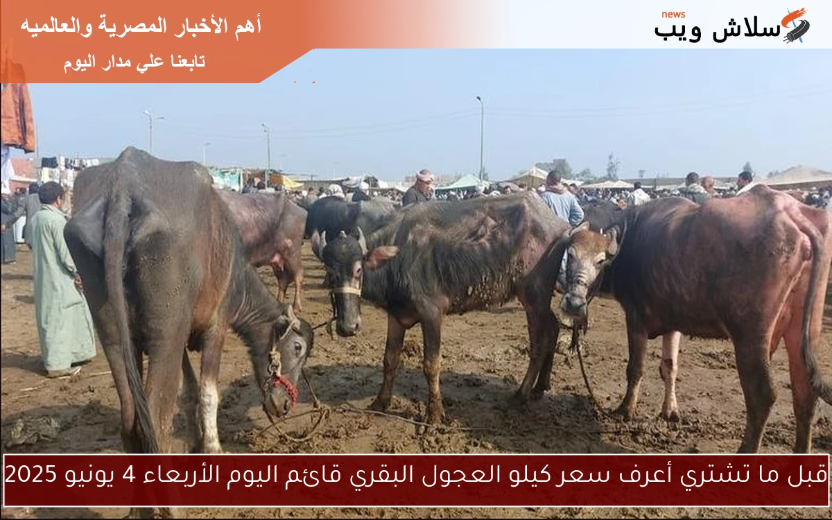 قبل ما تشتري أعرف سعر كيلو العجول البقري قائم اليوم الأربعاء 4 يونيو 2025