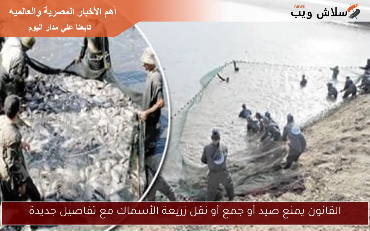 القانون يمنع صيد أو جمع أو نقل زريعة الأسماك مع تفاصيل جديدة