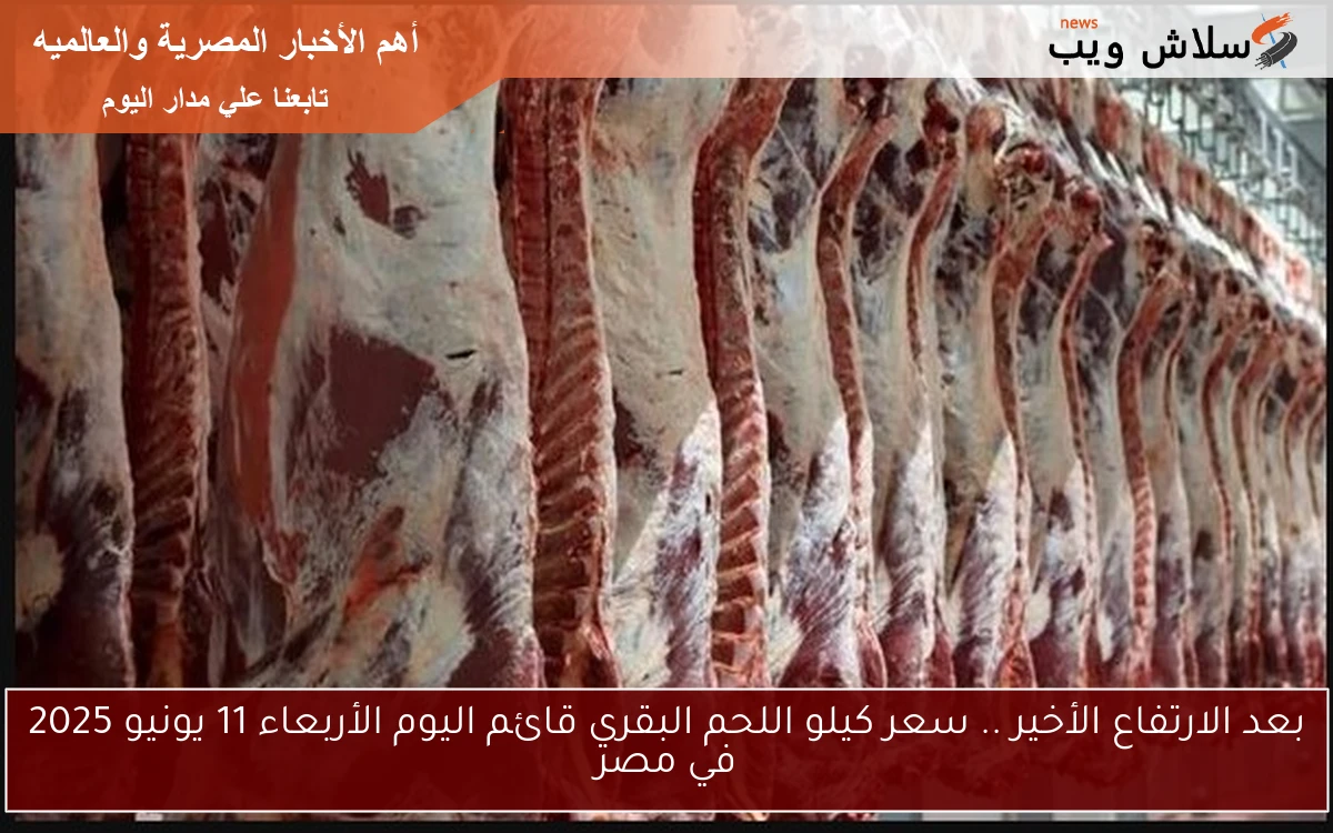 بعد الارتفاع الأخير .. سعر كيلو اللحم البقري قائم اليوم الأربعاء 11 يونيو 2025 في مصر