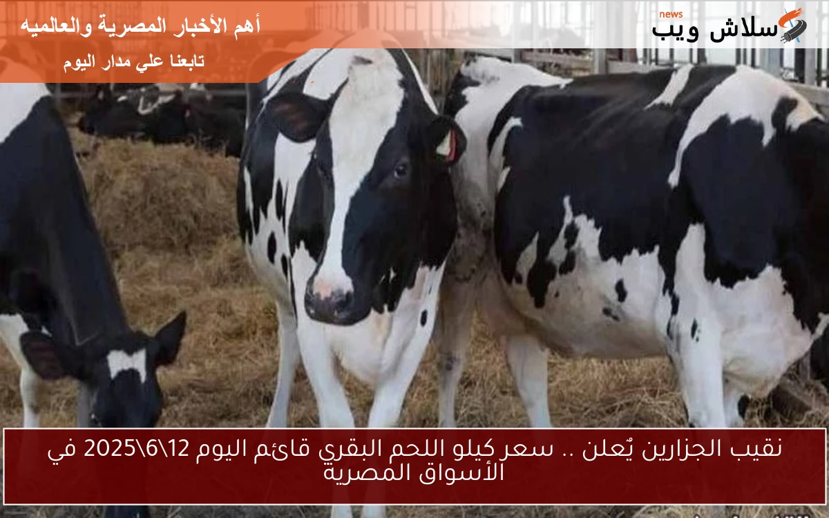 نقيب الجزارين يٌعلن .. سعر كيلو اللحم البقري قائم اليوم 12\6\2025 في الأسواق المصرية