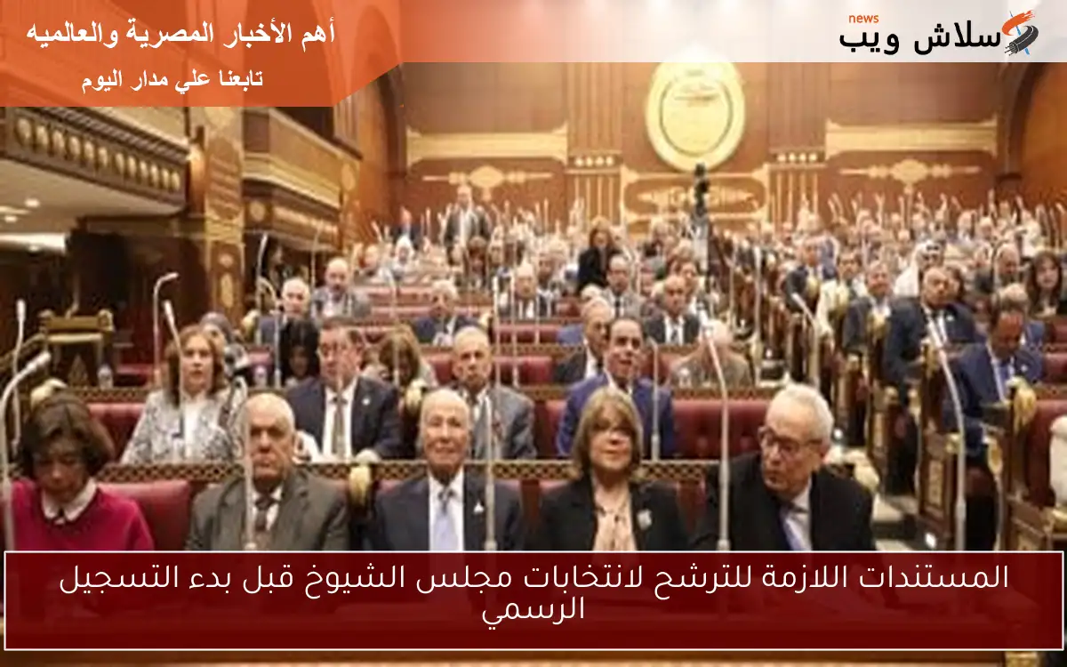 المستندات اللازمة للترشح لانتخابات مجلس الشيوخ قبل بدء التسجيل الرسمي