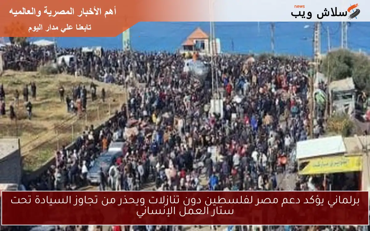 برلماني يؤكد دعم مصر لفلسطين دون تنازلات ويحذر من تجاوز السيادة تحت ستار العمل الإنساني