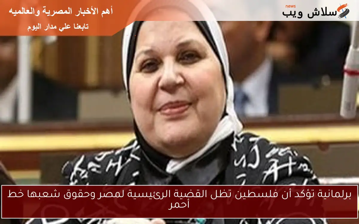 برلمانية تؤكد أن فلسطين تظل القضية الرئيسية لمصر وحقوق شعبها خط أحمر