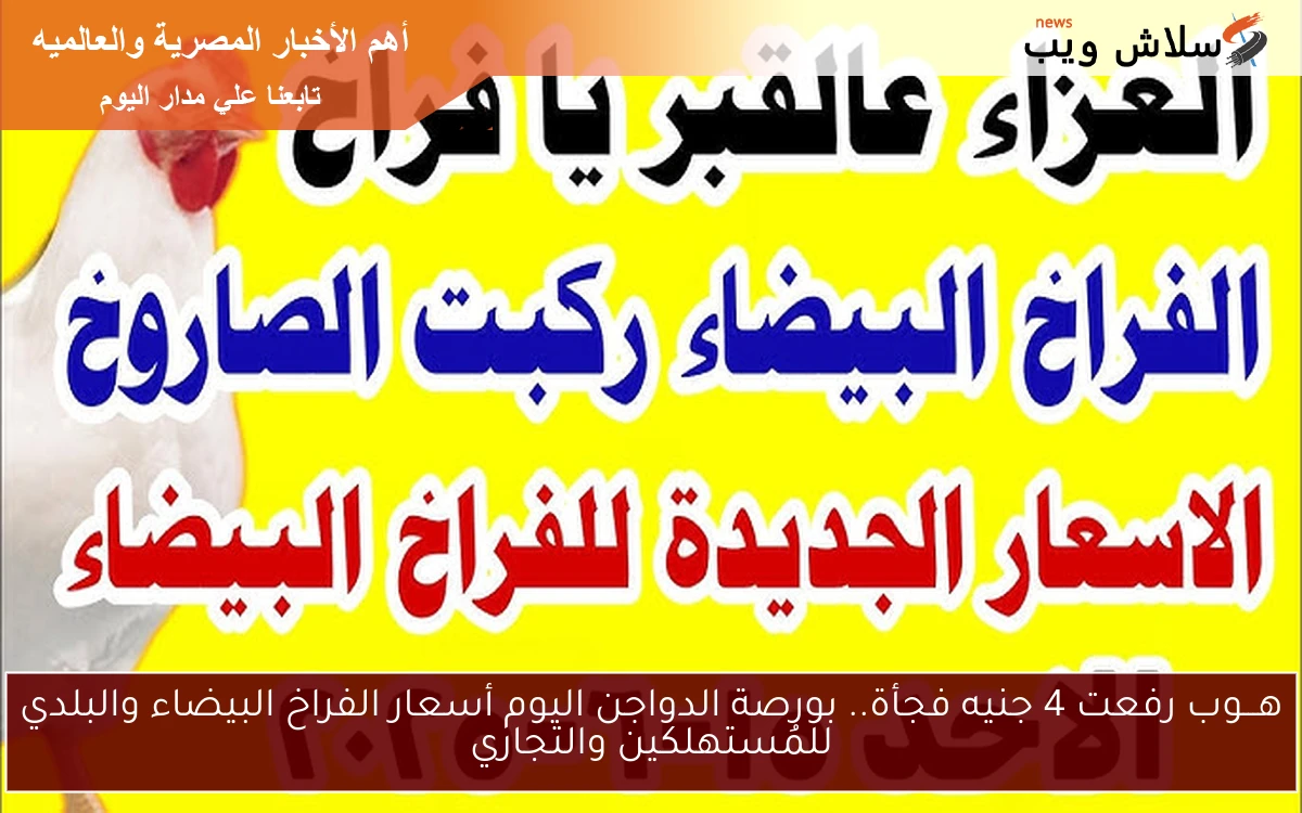 هـــوب رفعت 4 جنيه فجأة.. بورصة الدواجن اليوم أسعار الفراخ البيضاء والبلدي للمُستهلكين والتجاري