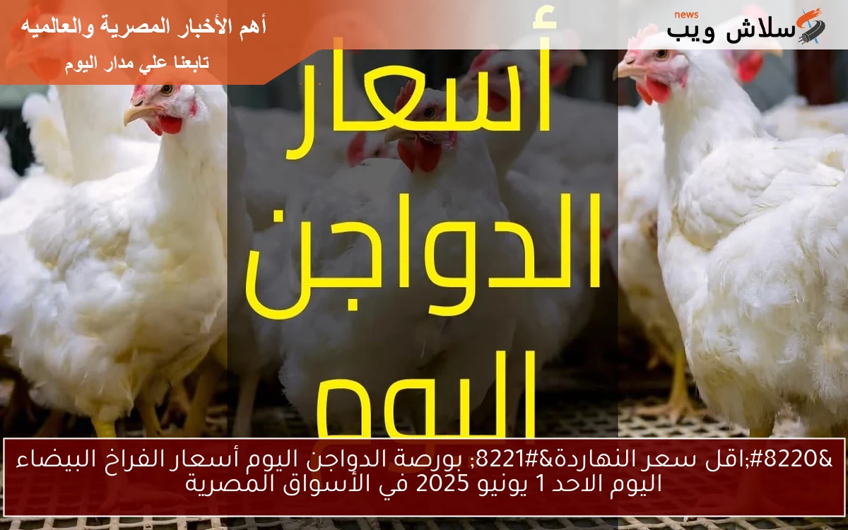 “اقل سعر النهاردة” بورصة الدواجن اليوم أسعار الفراخ البيضاء اليوم الاحد 1 يونيو 2025 في الأسواق المصرية