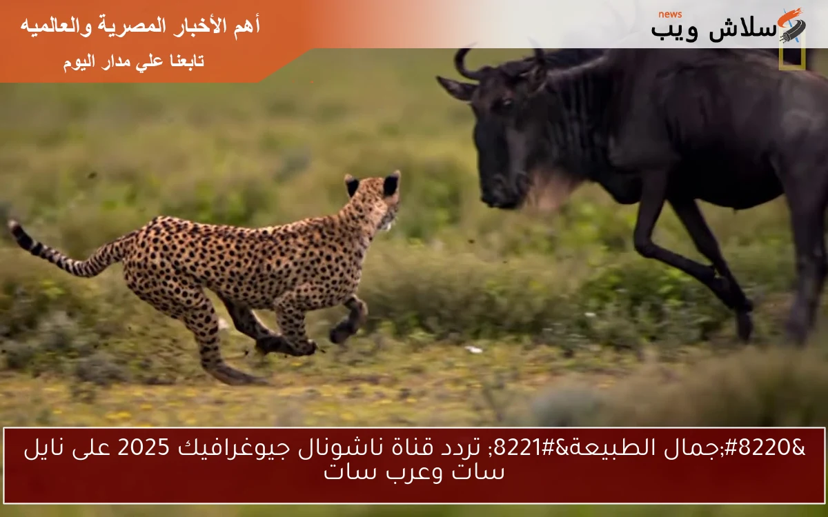 “جمال الطبيعة” تردد قناة ناشونال جيوغرافيك 2025 على نايل سات وعرب سات
