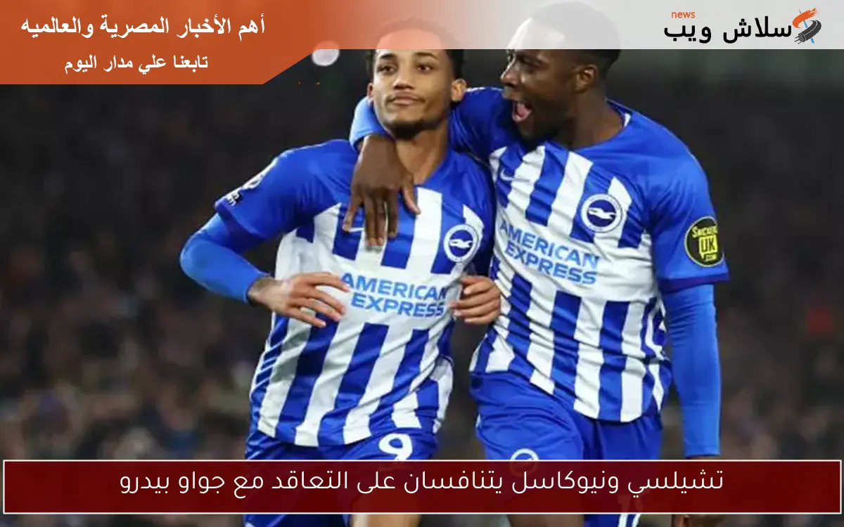 تشيلسي ونيوكاسل يتنافسان على التعاقد مع جواو بيدرو