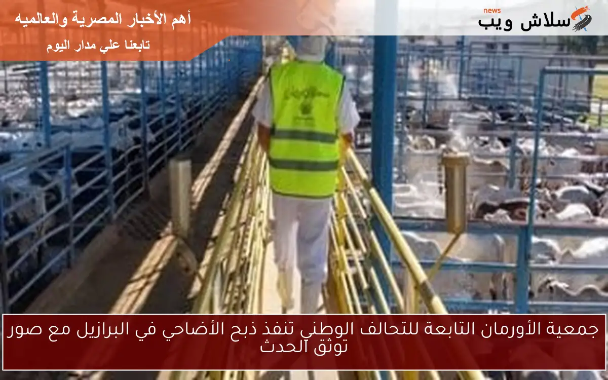 جمعية الأورمان التابعة للتحالف الوطني تنفذ ذبح الأضاحي في البرازيل مع صور توثق الحدث