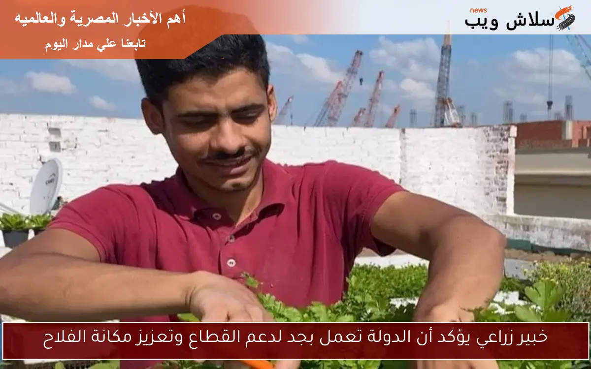 خبير زراعي يؤكد أن الدولة تعمل بجد لدعم القطاع وتعزيز مكانة الفلاح