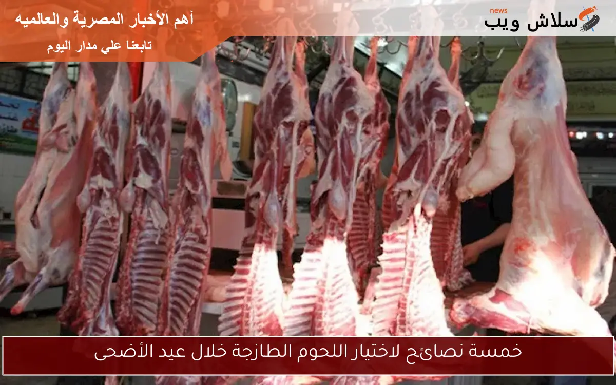 خمسة نصائح لاختيار اللحوم الطازجة خلال عيد الأضحى