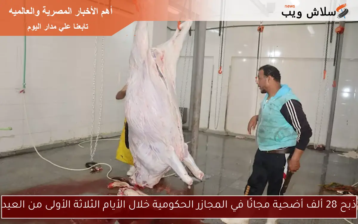 ذبح 28 ألف أضحية مجانًا في المجازر الحكومية خلال الأيام الثلاثة الأولى من العيد