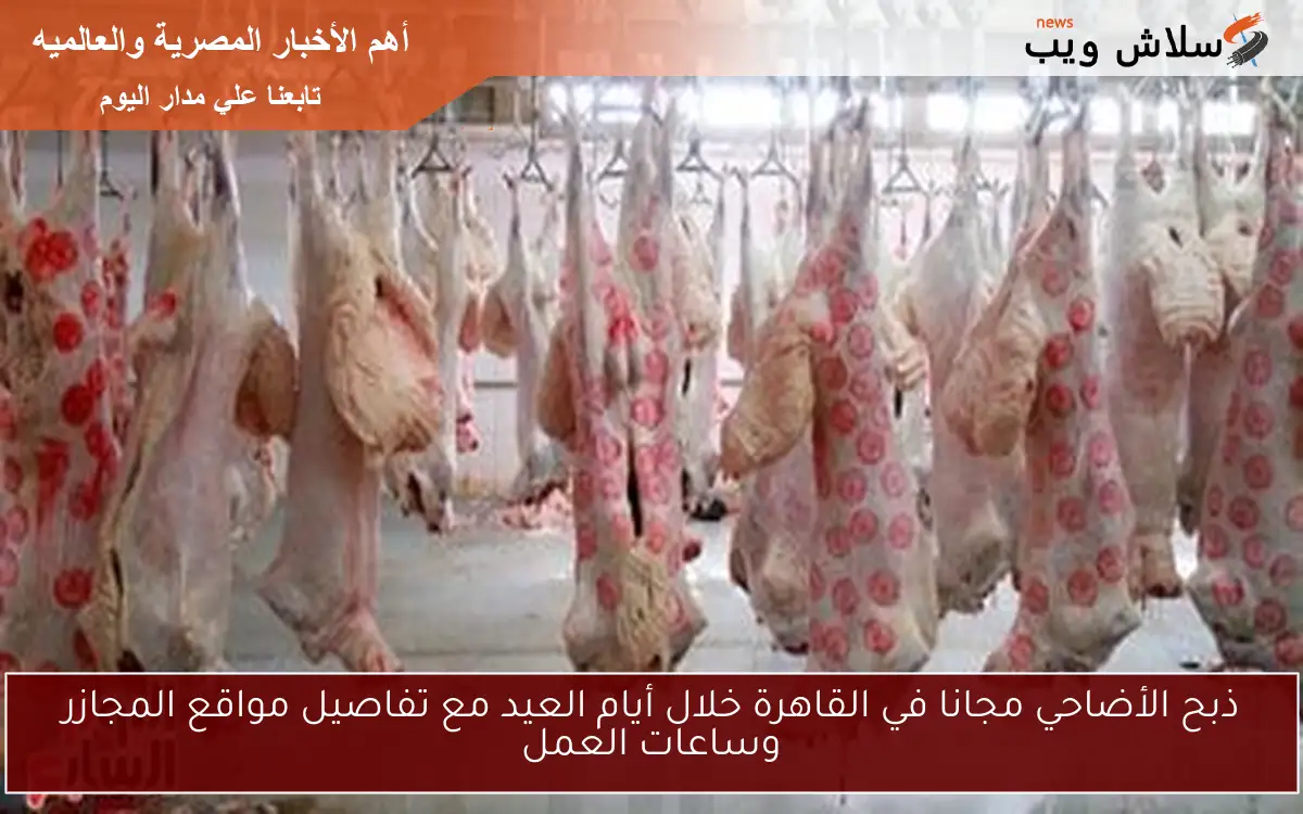 ذبح الأضاحي مجانا في القاهرة خلال أيام العيد مع تفاصيل مواقع المجازر وساعات العمل